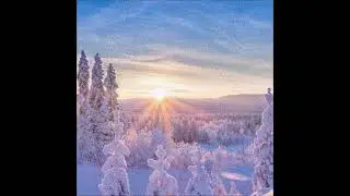 Dominus Soul - Acclimatise