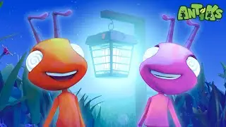 Shiny... Pretty... LAMP! | 1 Hour Antiks Full Episodes | Funny Insect Cartoons for Kids
