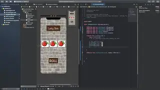 Change image when open app iOS - Xcode
