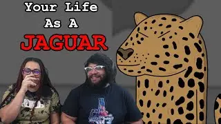 Your Life As A Jaguar | James Toland Reaction
