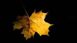 Hans Werner Henze: Concerto per pianoforte e orchestra n.2 (1967) (1/4)