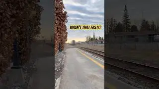 Casselman ON: Fast Siemens Train & My Whippet Too! #viarail #railway #train #trainspotting