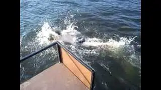 MOV00130