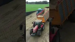Mais Silage | Ford 8670 + Massey Ferguson | Van Dijk Kalveren | 2022