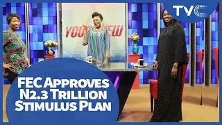 FEC Approves N2.3 Trillion Stimulus Plan | Your View Episode