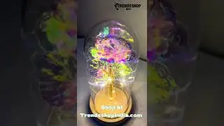 Rose Light Up Flower #homedecor #giftoflove#trending #trendingshorts #Trendzshopindia