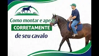 COMO MONTAR E APEAR CORRETAMENTE DE SEU CAVALO. GOSTOU? SE INSCREVA EM NOSSO CANAL PARA MAIS DICAS