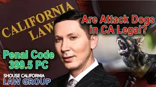 Penal Code 399.5 PC - Are attack dogs illegal in California?