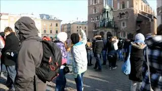 Flash Mob: Freeze - Kraków (Poland), 30.01.2011 - HD 720p