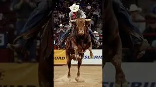 Cowboy Nearly Died in This Wild Bull Ride! 🐂🔥 #shorts