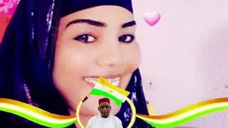 Naz P Alkache