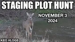 Hunting The Staging Plot
