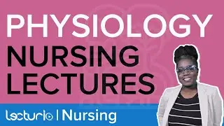 Levels of Structural Organization – Physiology | Lecturio Nursing