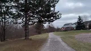Cold Winter Pathway • Daily Walk