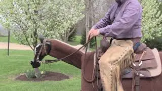 Taking Slack Out of Loop Reins - Steve Lantvit Horseman's Minute with the Equicizer