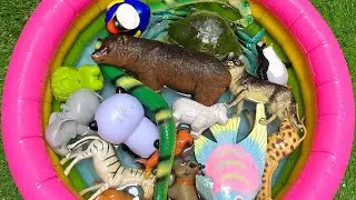 Toddler Ocean Animals | Baby&rsquo;s Ocean Animals Names, Facts & Educational Toys