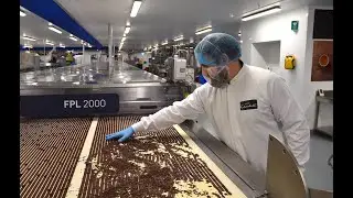 Hotel Chocolat focus