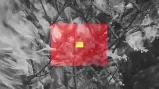 TROUSSEAUX - ESTUARIES [OFFICIAL VIDEO from CZELUŚĆ VOL. #1]
