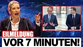 EILMELDUNG: AfD kurz vor Alleinregierung &ndash; Altparteien verlieren die Kontrolle!