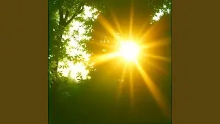 Солнца лучик заигрался