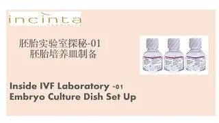 Inside IVF Lab -01 Embryo culture dish set up                  胚胎实验室探秘-01 胚胎培养皿制作