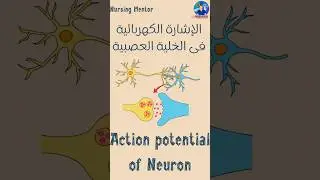 الإشارة الكهربائية في العصبون #simplenursing #shortsyoutube #shorts #shortvideo #nursingstudent