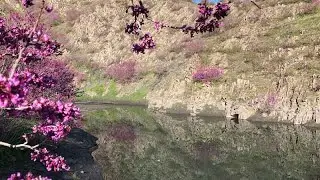 Dareh Cherik (Dareh Arghavan)🌸 | A Hidden Gem in Iran&rsquo;s Nature #seeiran  دره ارغوان خراسان