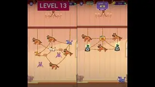 Save the Cat Kitten Escape - Level 13