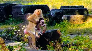 Wow Cherry often steals baby lol, its'  BB Patch how Piper can get her baby baby back let enjoy..