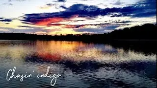 “Chasin’ Indigo” [Official Lyric Video] - Carley Arrowood