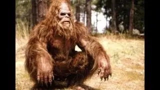 Bigfoot sighting 2013 Australia Dubbo