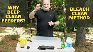 Bird Feeder Deep Cleaning