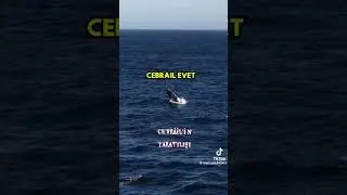 D&Ouml;RT B&Uuml;Y&Uuml;K MELEK (Hz.cebrail (as)yaratılışı  #aboneol  #reels#shorts 