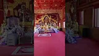 Tajlandia budzi Polskę Martyna i Daniel SZYSZ IRL stream | 🇹🇭🛵 NA ŻYWO #Tajlandia #IRL