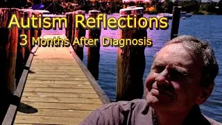 Autism Reflections: 3 Months After Diagnosis.