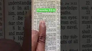 Scripture for the day - Trust in the Lord - Proverbs 3:5-6 | Bible Audio | Meditate Word