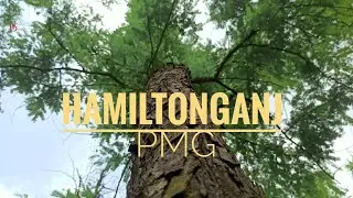 HAMILTONGANJ PMG Park 🌿🍃 Alipurduar
