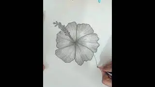 Art activity