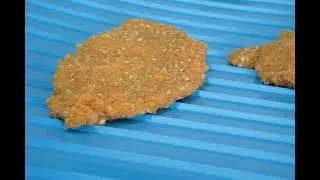 Food Industry Solutions | Poultry - Conveyor Belts by Volta Belting