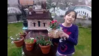 Canka kostova Outdoor classroom activities, Eno tree day, Earth school, Stay safe learn at home.