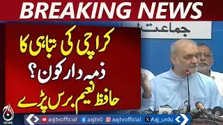 Ali Khursheedi criticizes PPP, JI over Karachi&rsquo;s devastation - Pakistan news