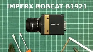 Видеокамера Bobcat b1921 фирмы Imperx