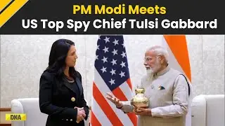 PM Modi Tulsi Gabbard Meeting: PM Narendra Modi Meets US Top Spy Chief Tulsi Gabbard In New Delhi