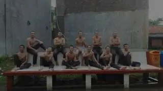 Force STORY IPS 5