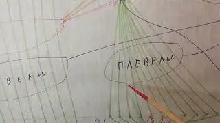 ПРИРОДНАЯ ВЕТВЬ... ДЕРЕВО ЖИЗНИ !!!