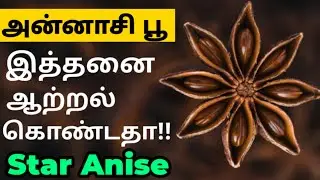 அன்னாசி பூ பயன்கள்| annasi poo benefits in tamil| annachi poo| அண்ணாச்சி பூ| star anise uses tamil