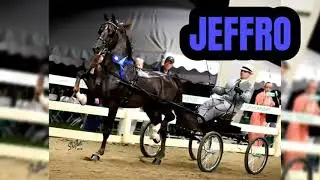 Jeffro