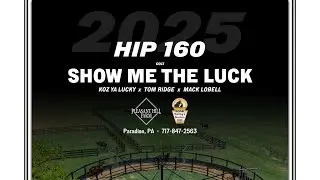 Lot 160 - SHOW ME LUCK - Koz Ya Lucky x Tom Ridge - colt