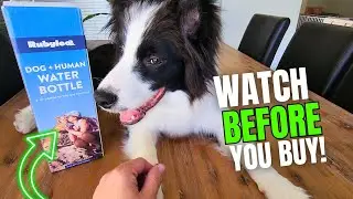 Rubyloo Dog and Human Drink Bottle Review &ndash; The Perfect Travel Companion!