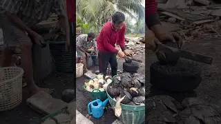 Amazing Hot Coconut Roasted Peeling Cutting Skill - Fruits Cutting Skill